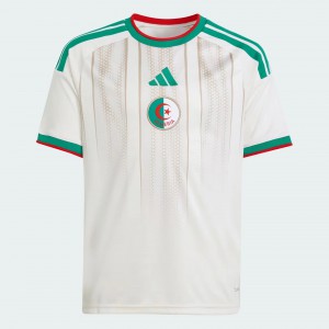 Adidas Algeria 2026 Home Jersey - Youth